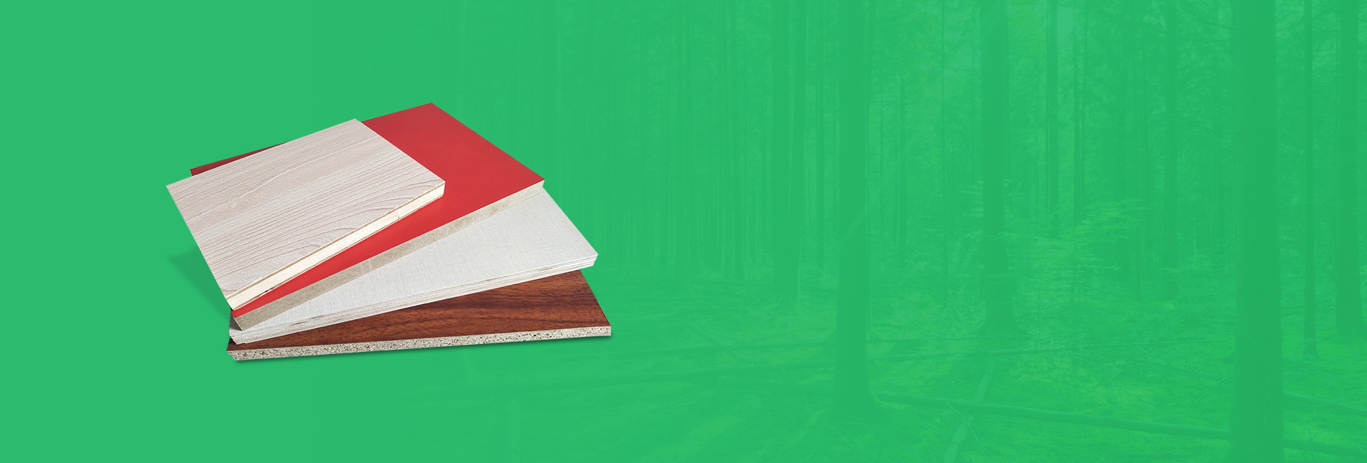 banner5