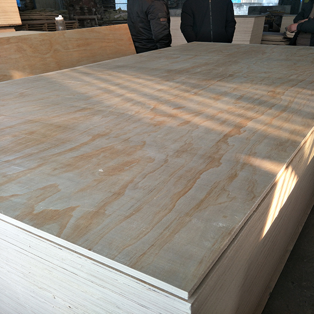 1220x2440mm E2 glue commercial grade Pine plywood 