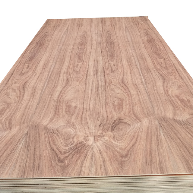 Good Quality with competitive price Tzalam plywood 