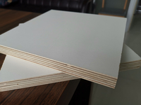5mm 6mm 12mm 15mm 16mm 18mm 25mm High quality AAA grade E0 grade Combi core melamine plywood