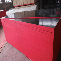 Cheap price finger joint film faced shuttering plywood
