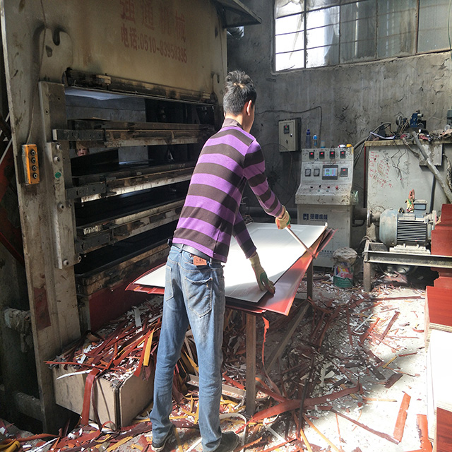 Competitive Price Moulded MDF Door Skin